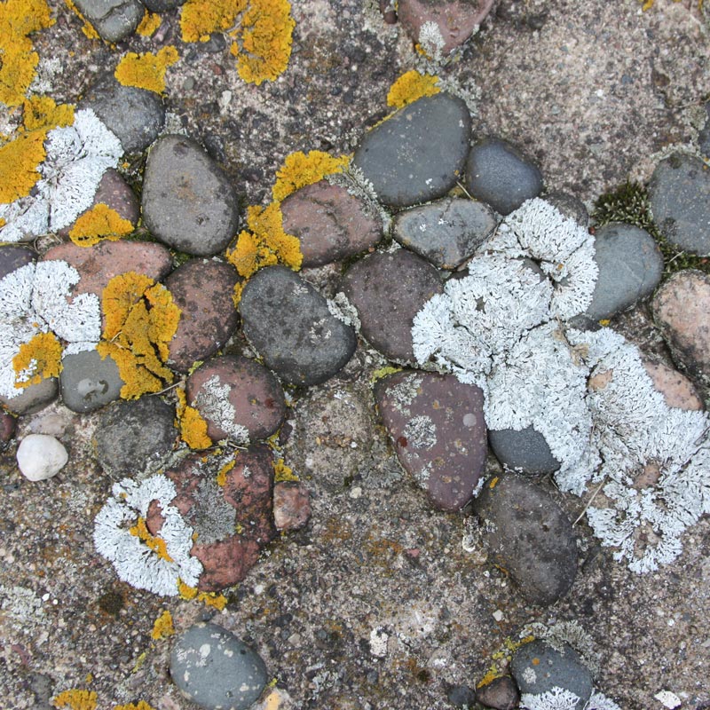 Ak-Sar-Ben Wishing Well